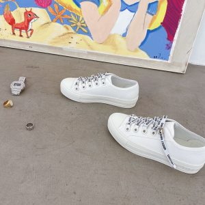 Dior Canvas Shoes Gate581
