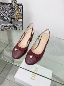 Dior Ballet Shoes Gate15