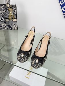 Dior Ballet Shoes Gate18